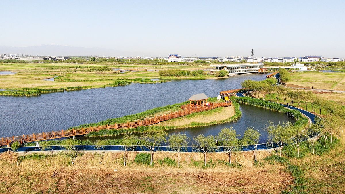 兰州秦王川湿地公园土壤类型概述
