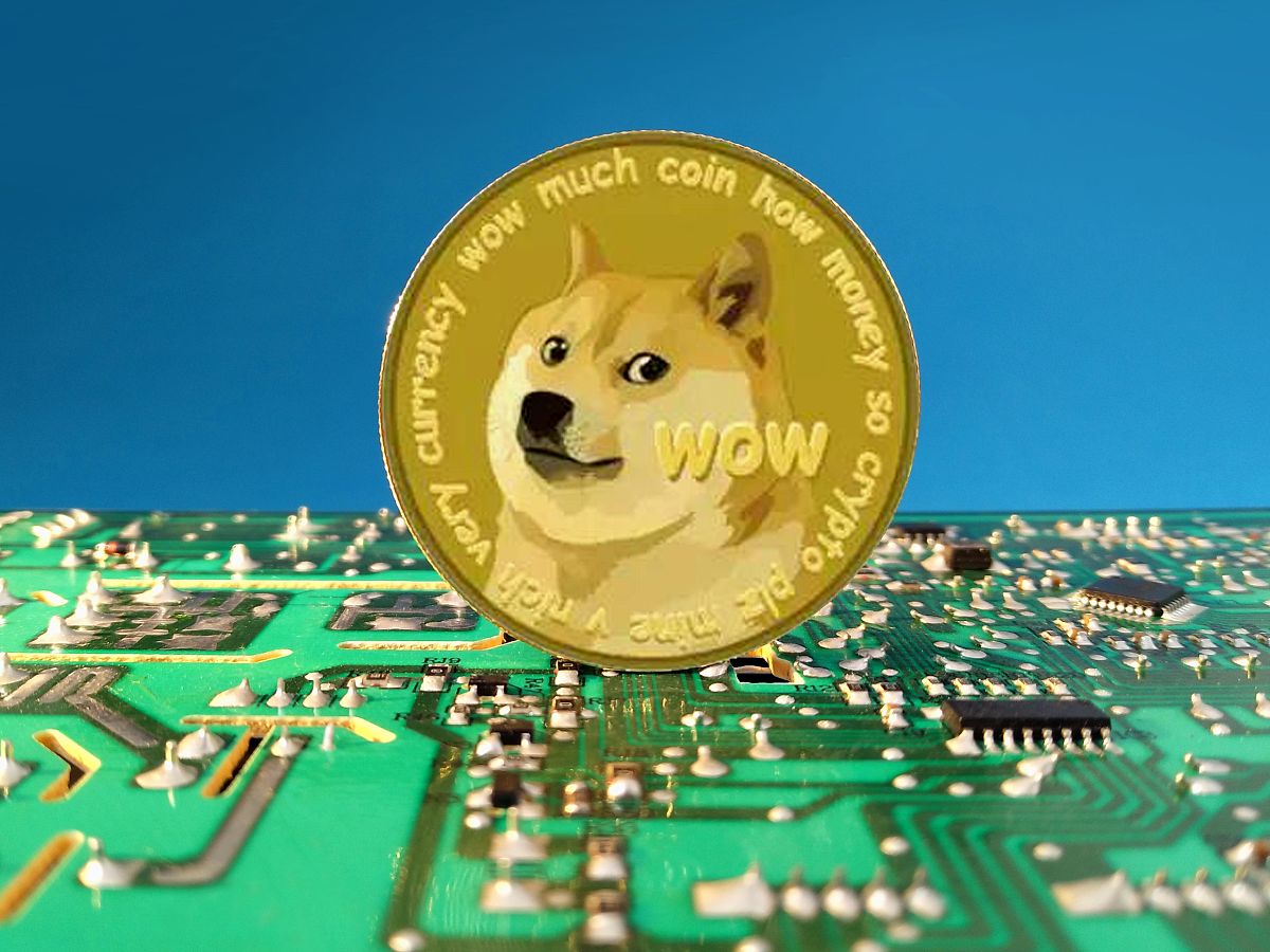 每个人都在谈论加密货币热潮 比特币、以太坊它们风靡一时 但是有一种硬币让人们感到惊讶 它是 DOGE这只狗的模因让一切都变得如此狂热