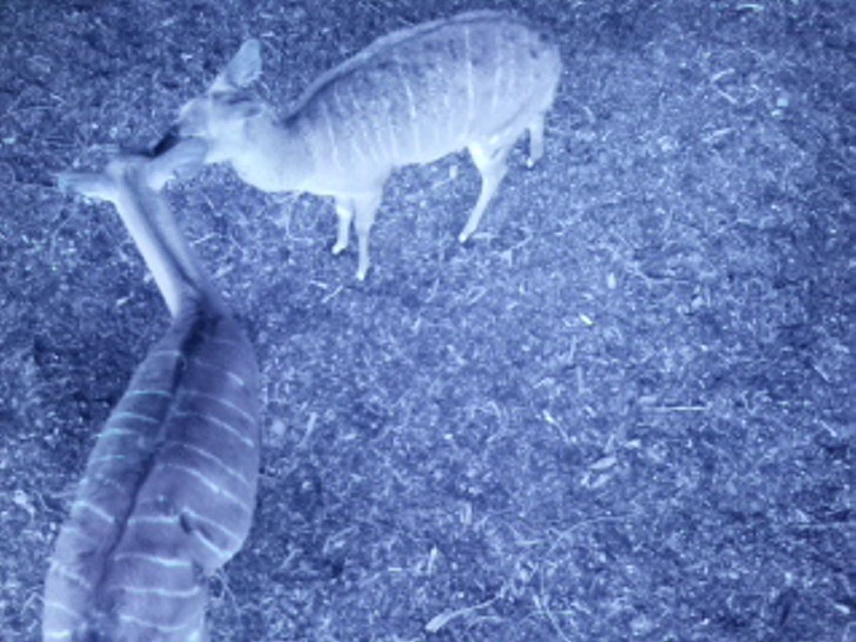 寝室电费分配计算：玩电脑用电多的人如何分摊？