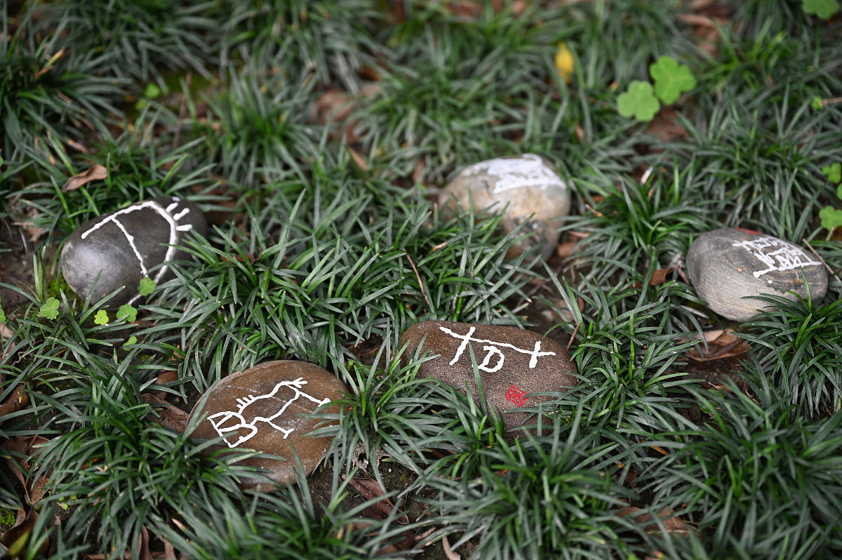 成都实验商贸管理学校2019年招生简章 - 三年制热门专业介绍