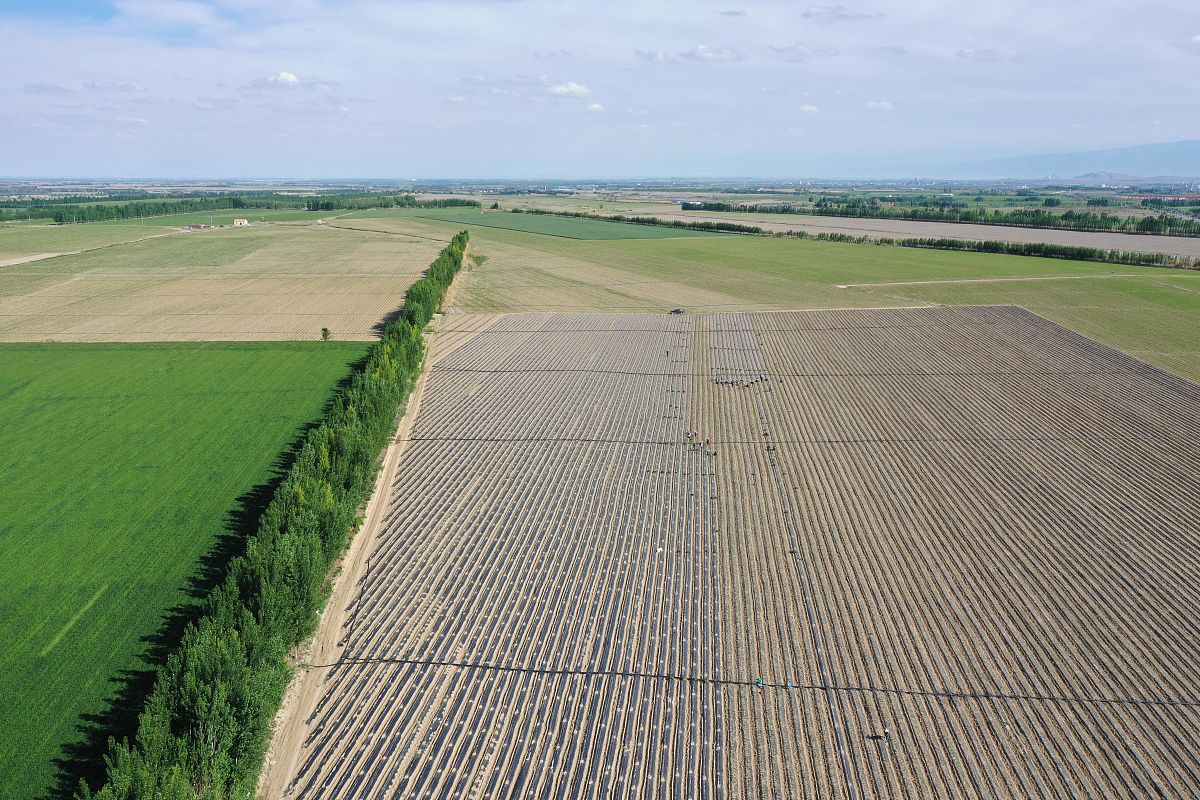 辽宁工程技术大学水土保持与荒漠化防治专业怎么样