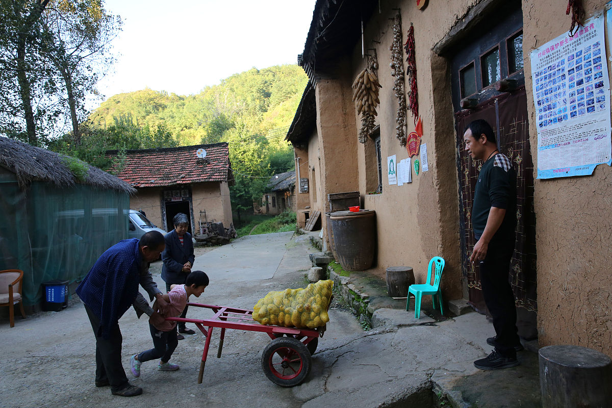 周至县职业教育中心2021年招生简章