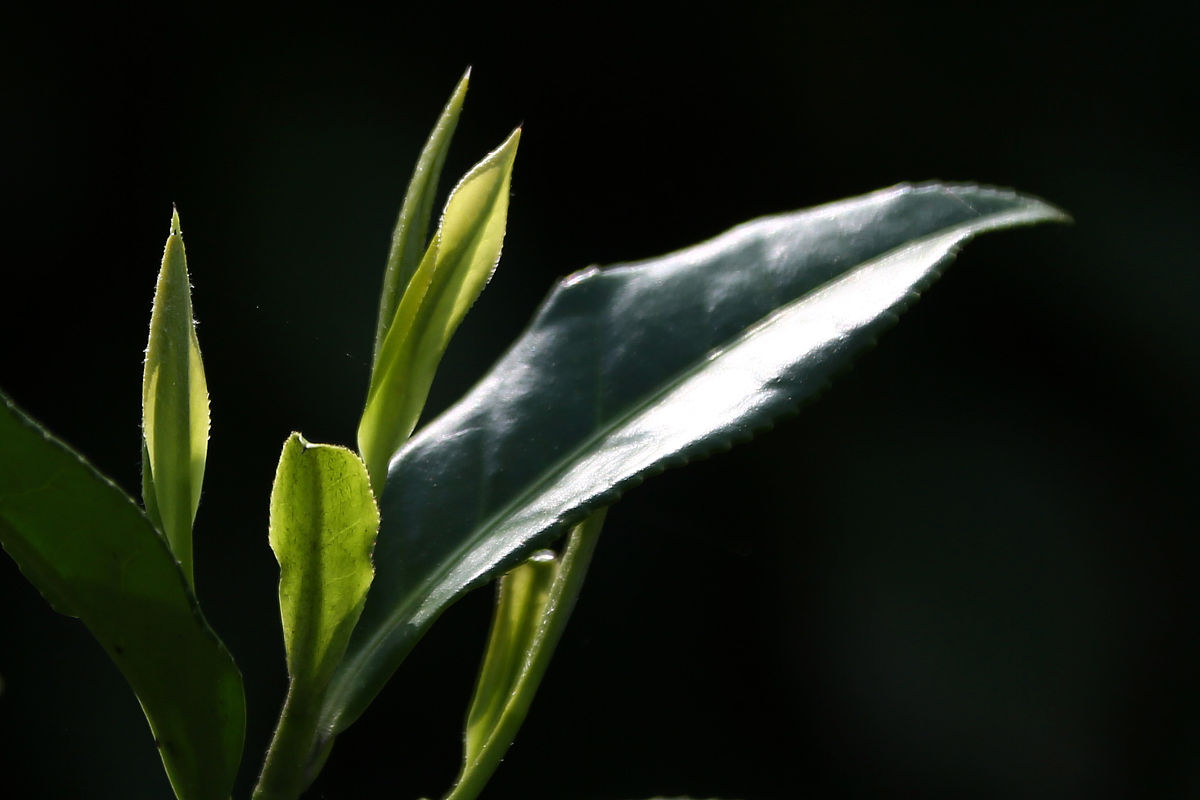 安徽动力工程学校2023年招生电话-怎么样