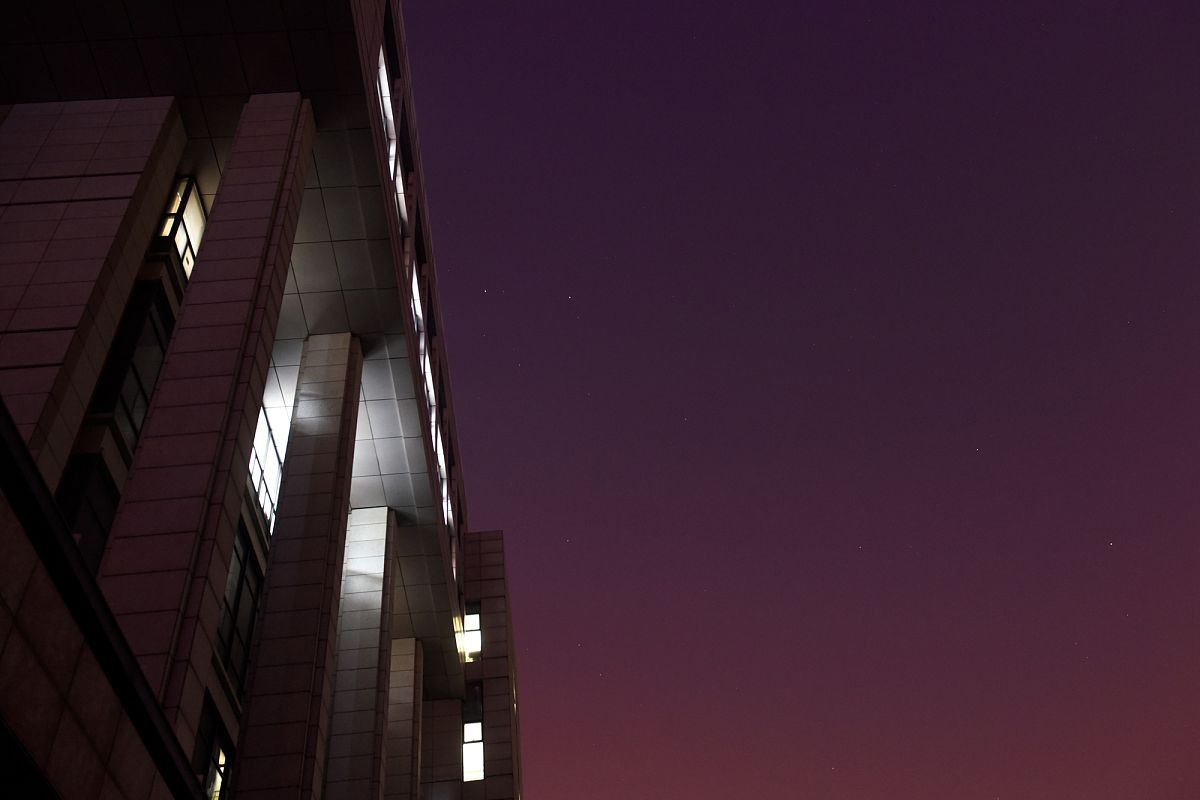 写一份协助指导研究生的证明