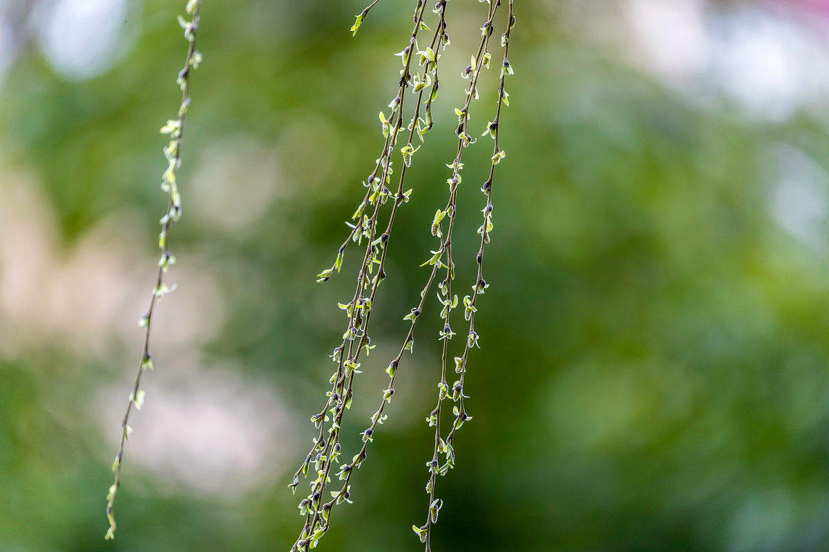 重庆机电工业学校招生专业：2021年专业目录及未来发展趋势