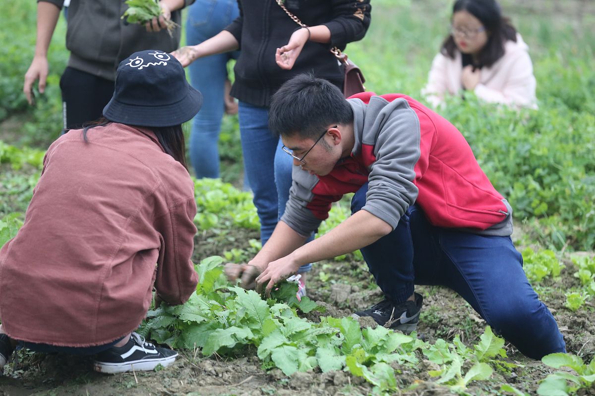 农业生产实习心得体会：收获知识、锻炼能力、感悟人生