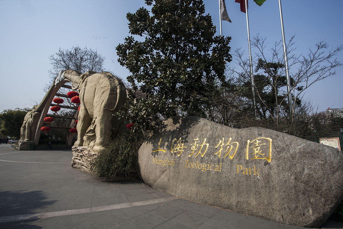 上海动物园位于上海市长宁区虹桥路2381号,紧邻上海虹桥国际机场.始建