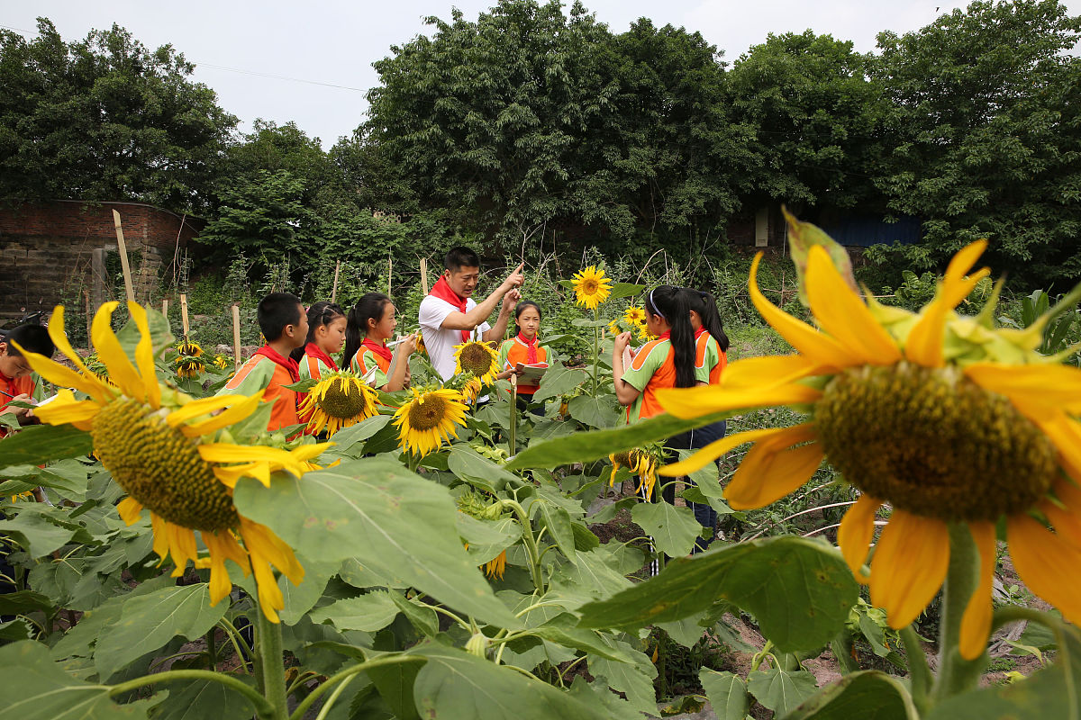 导师指导过程：步骤、技巧和评估