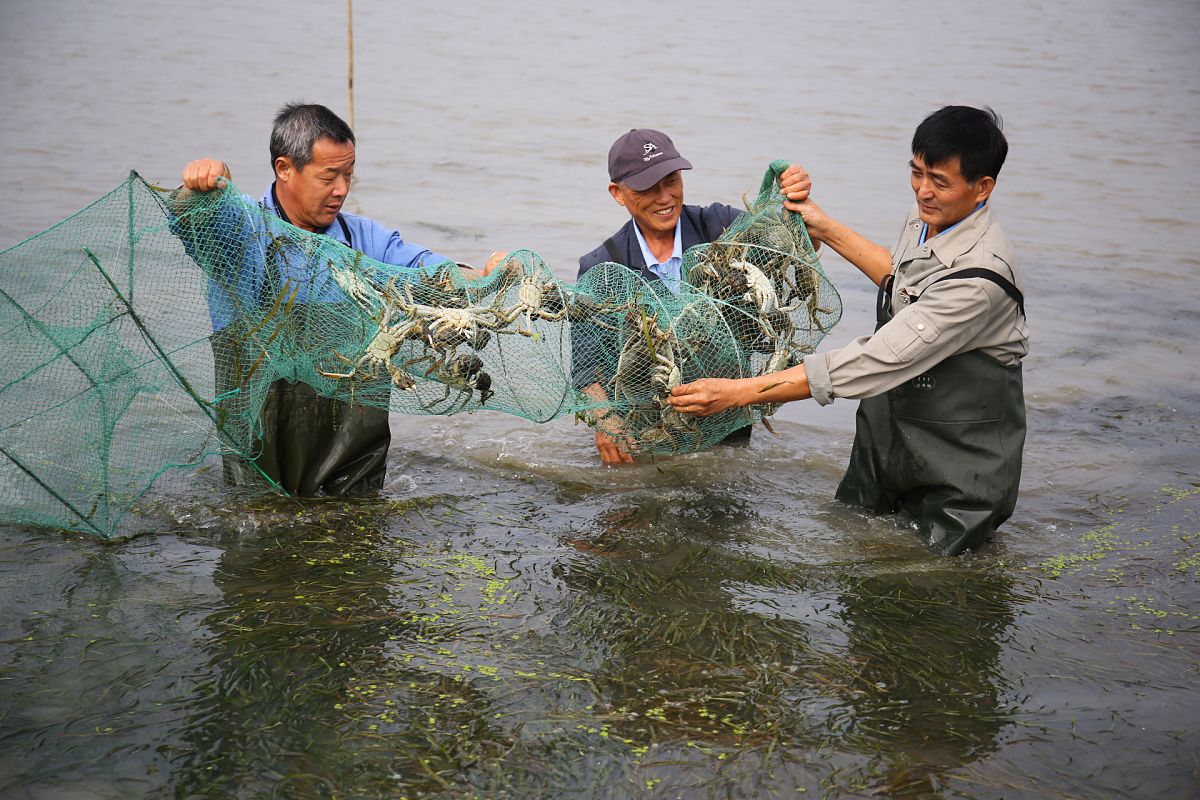 水产学术讲座：经济海藻种质资源、青蟹杂交、扇贝育种、论文写作技巧等