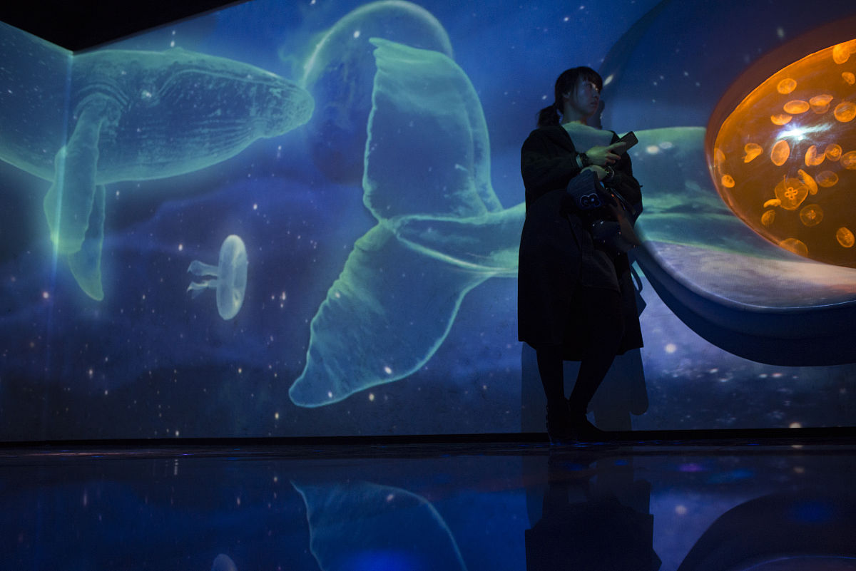 平行空间存在吗？一次奇遇让我深思