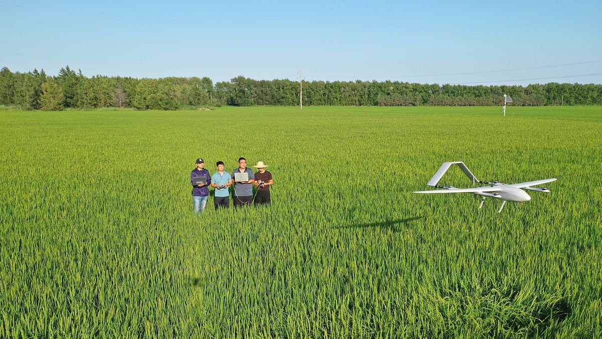 黑龙江农垦科技职业学院是否有五年制高铁乘务专业？