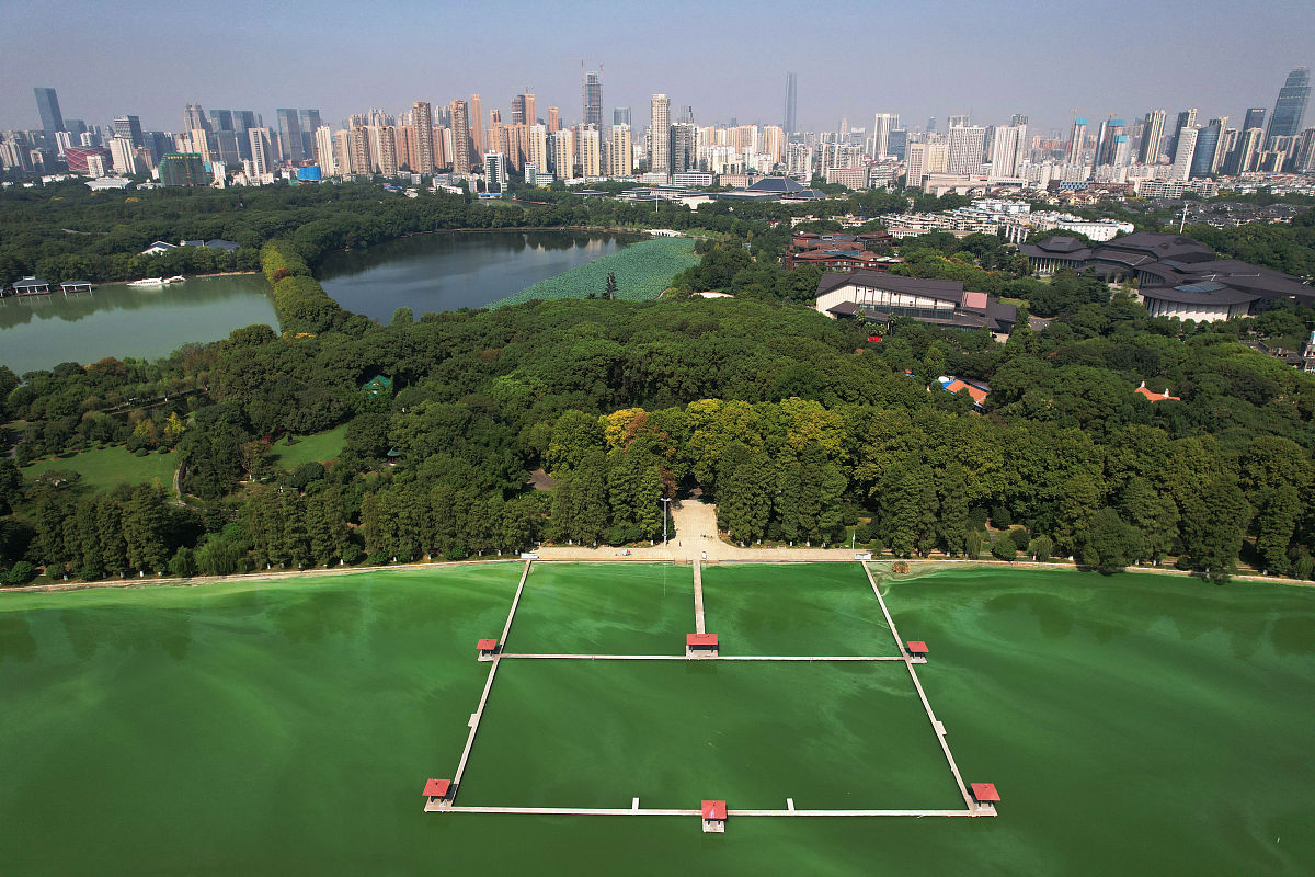 2021年武汉第一职教中心招生专业一览 - 机电、商贸、服务、艺术类专业任你选