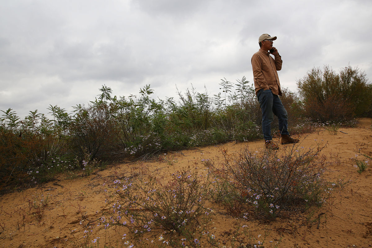 西塘小学六年级同学要植一些树不超过 100 棵。如果每行植6棵最后一行缺1棵;如果每行植5棵或4探最后行也都缺1棵。这批树苗有多少棵
