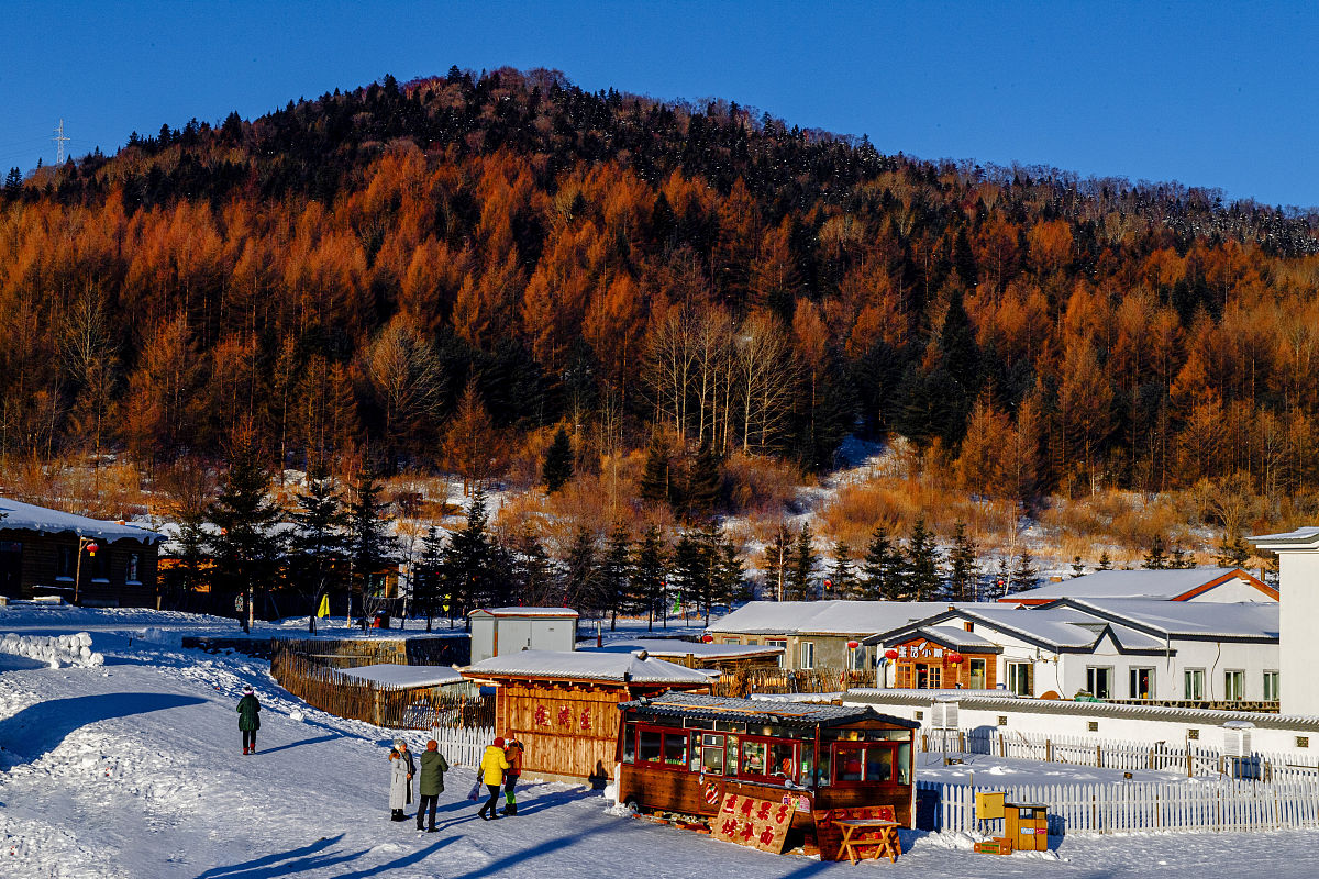 用中文写一篇作文-我的家乡在东北