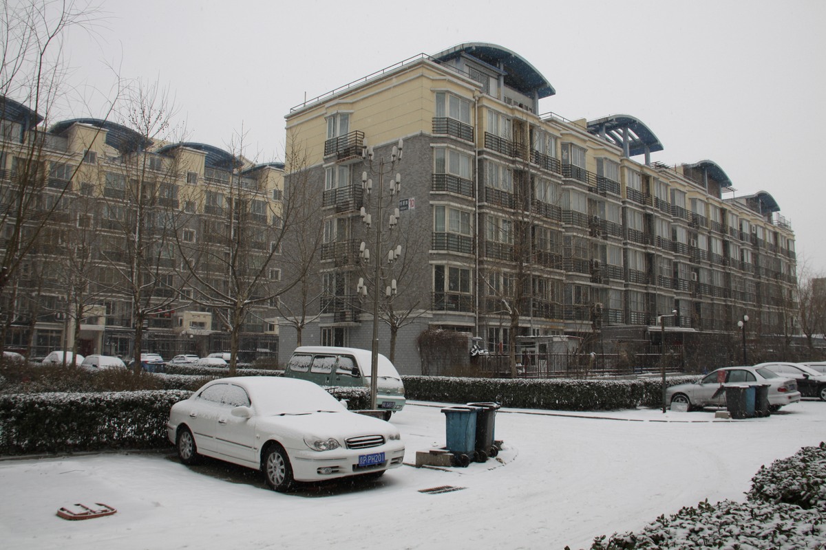北京南部一小区里已被大雪覆盖.