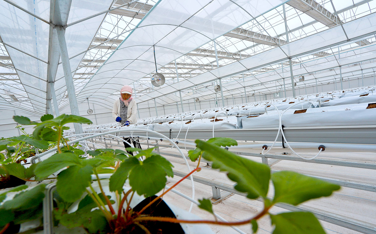 2023年甘肃男孩子上什么中专好