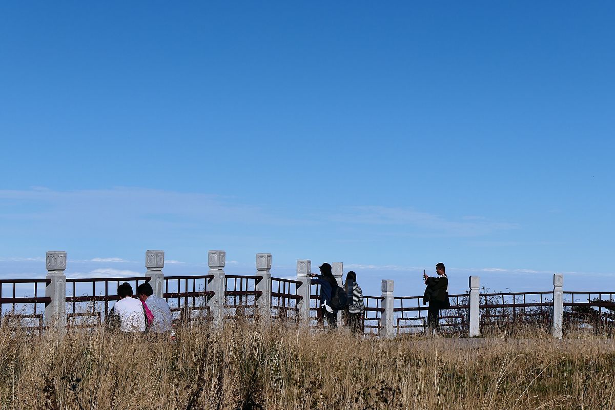 乐山市计算机学校计算机专业2020招生简章