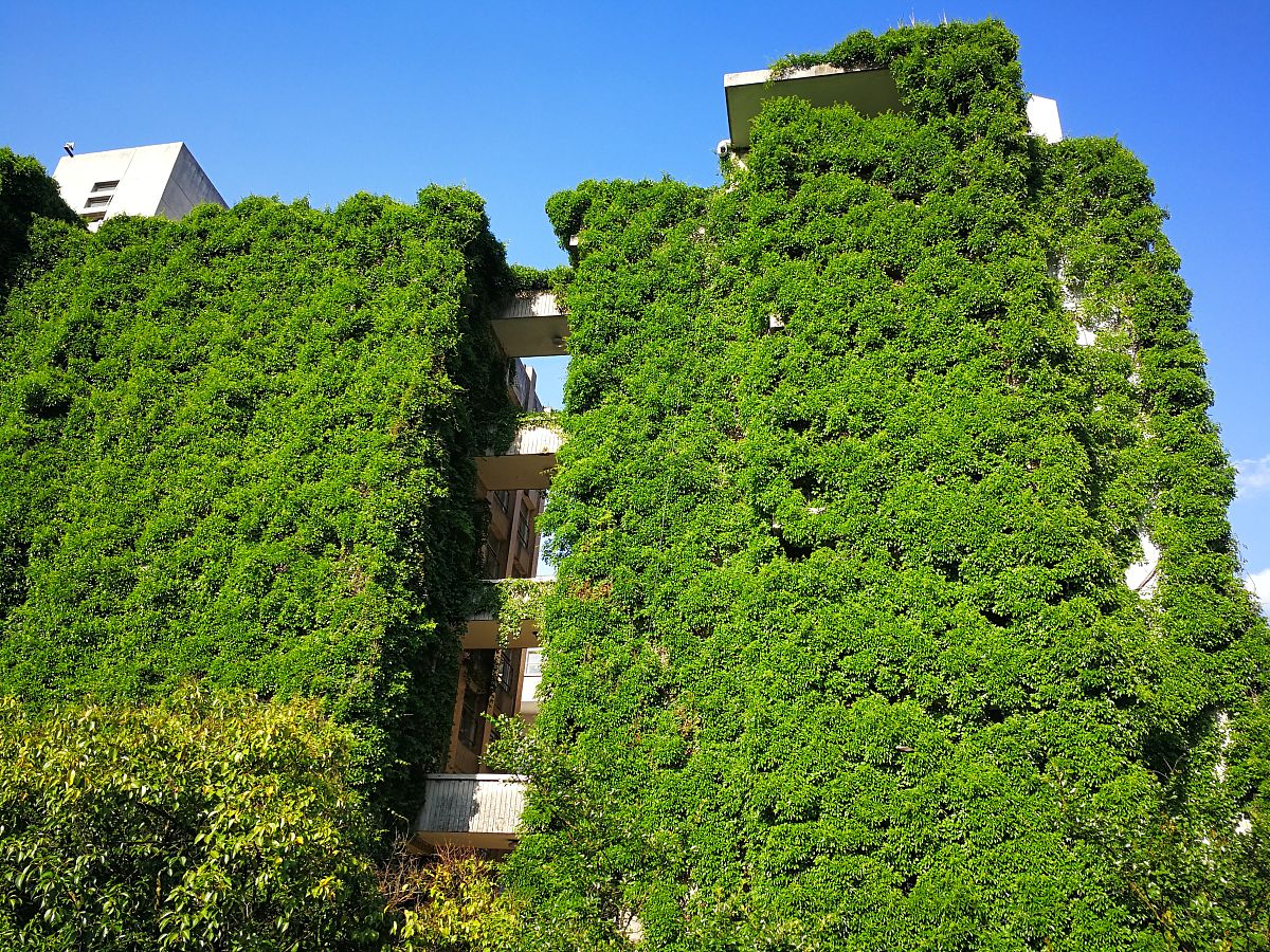 贵州大学中草药栽培与鉴定专业招生就业岗位都有哪些