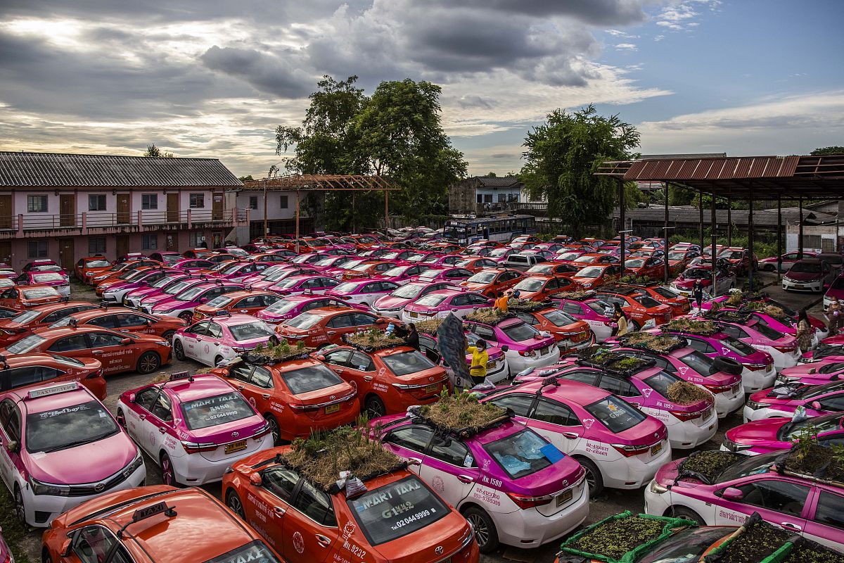 信宜市求助热线：您的问题，我们倾听