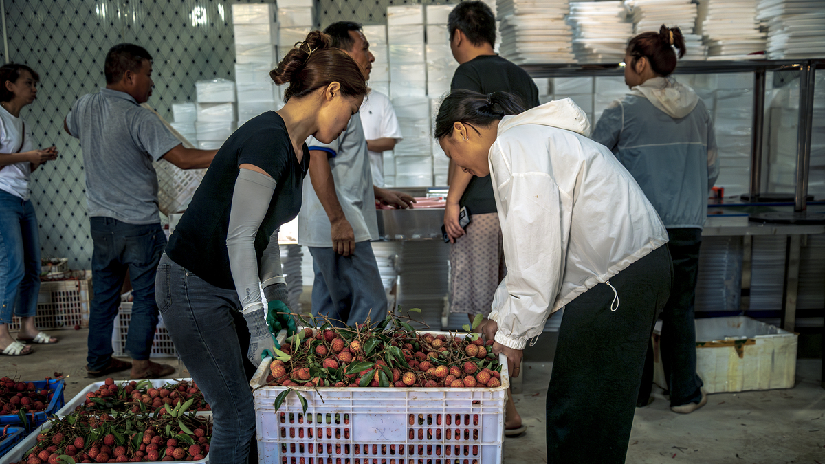 2的有关于农产品公司的实习总结