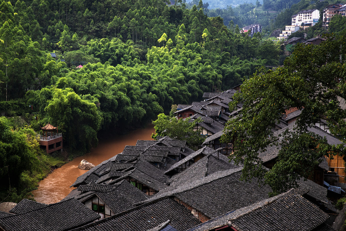 春雨现代诗：感受生命的力量