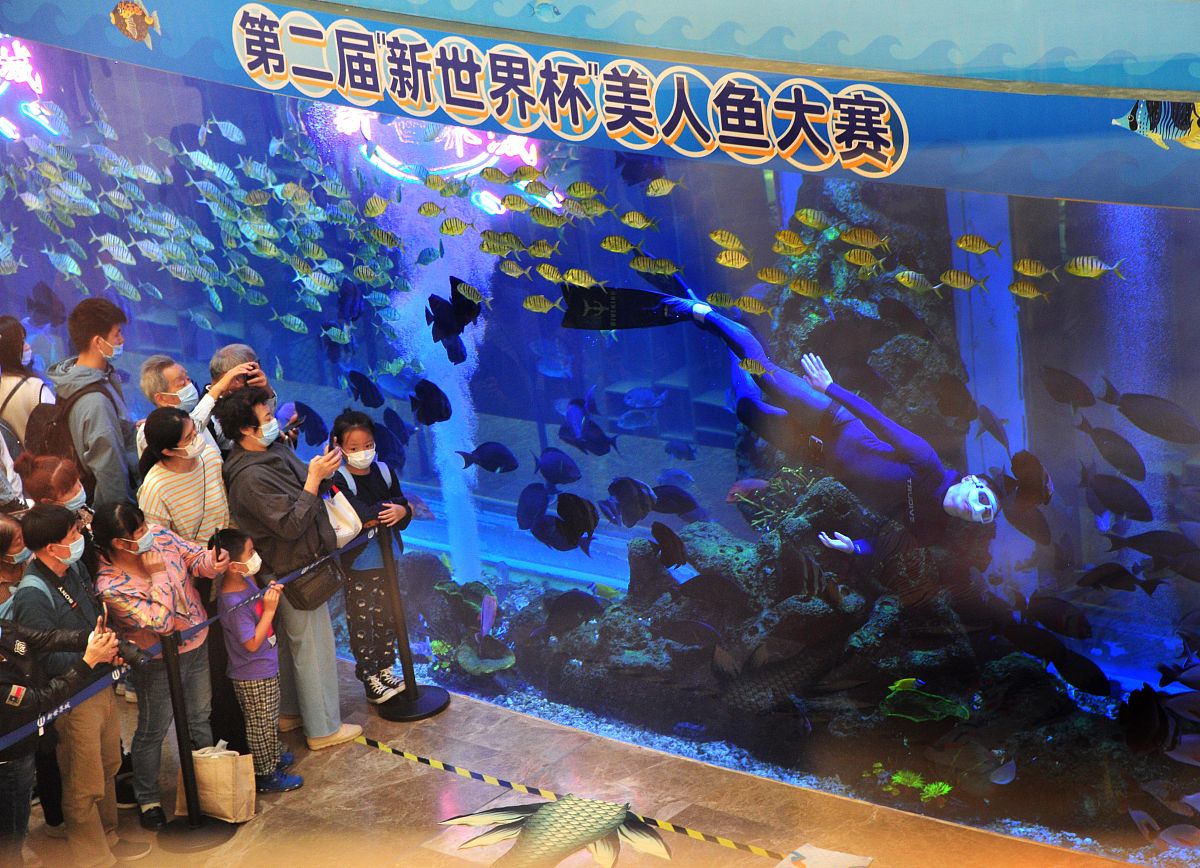 2021年10月16日,上海新世界城海洋世界举行了一场特殊的比赛.近三十位