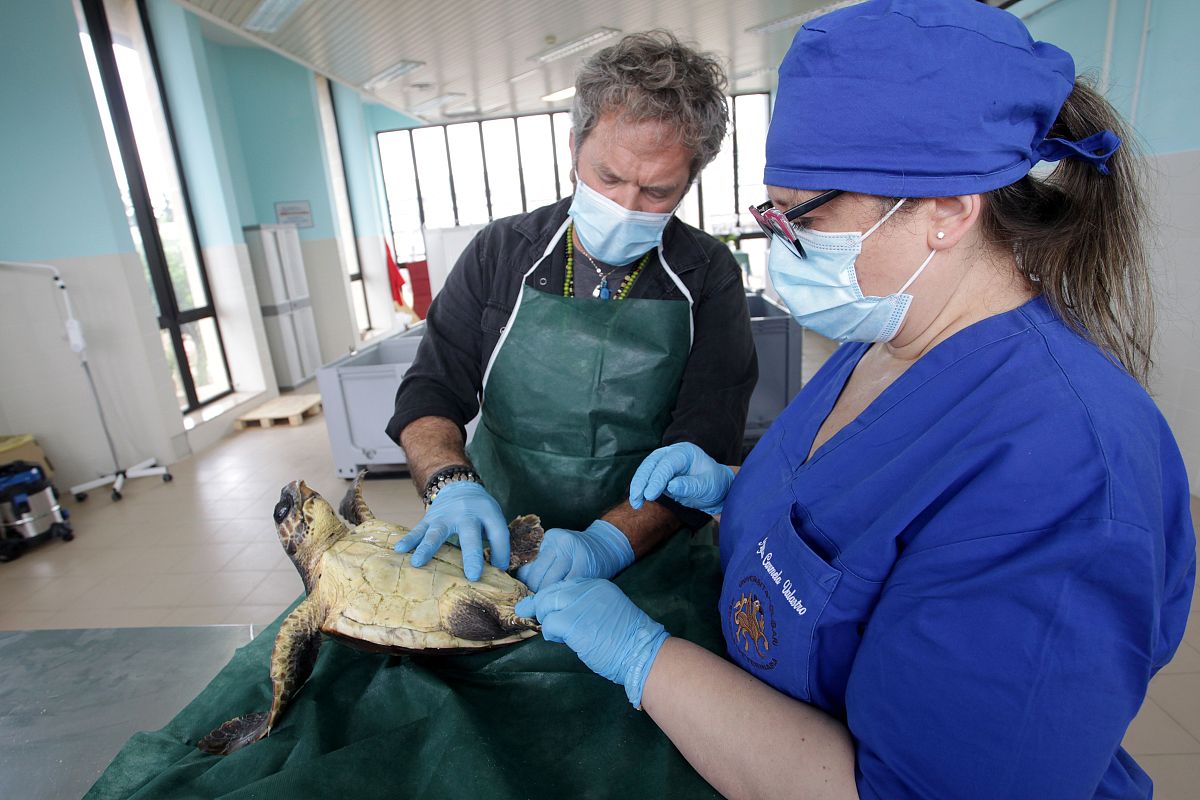 贵州民族职业技术学院医学系康复技术专业招生