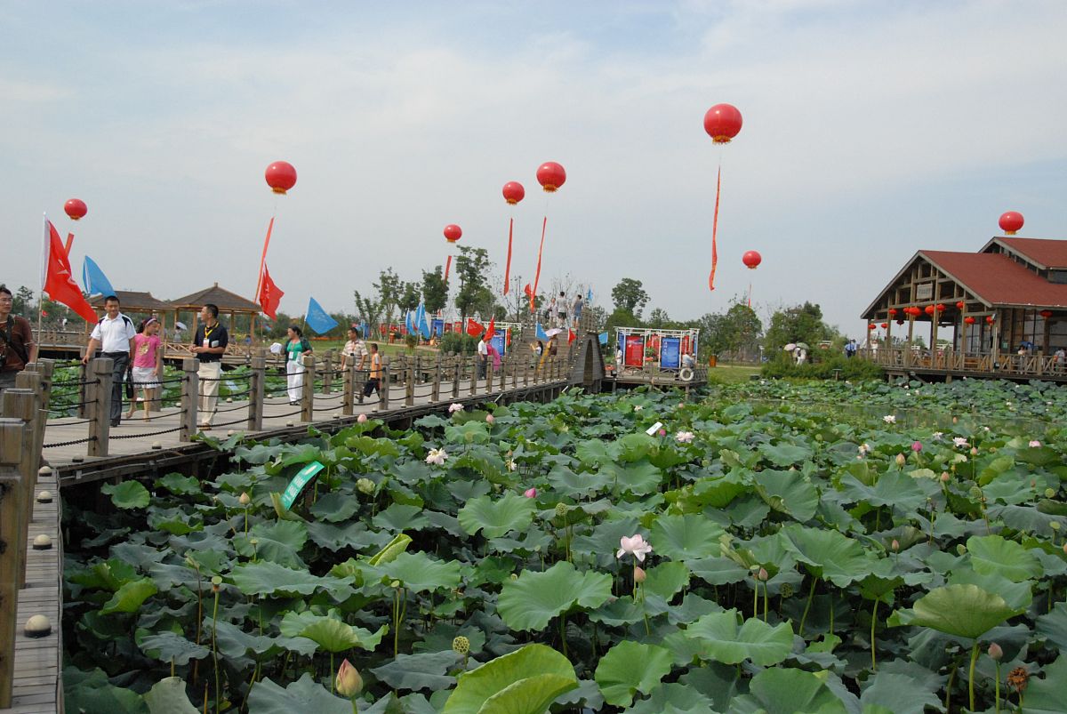 菏泽清菏园为什么以农业为主