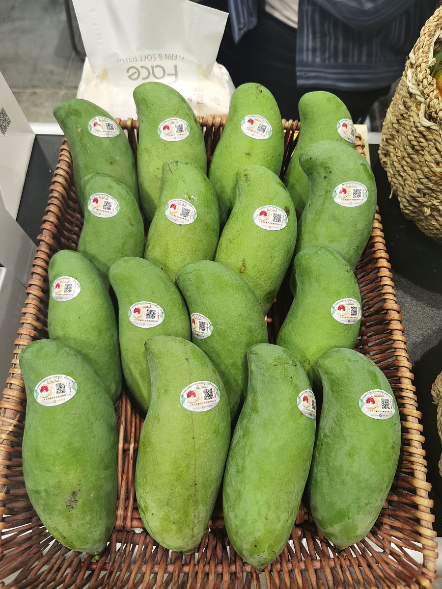 2023年中央一号文件学习心得乡镇工作人员1500字