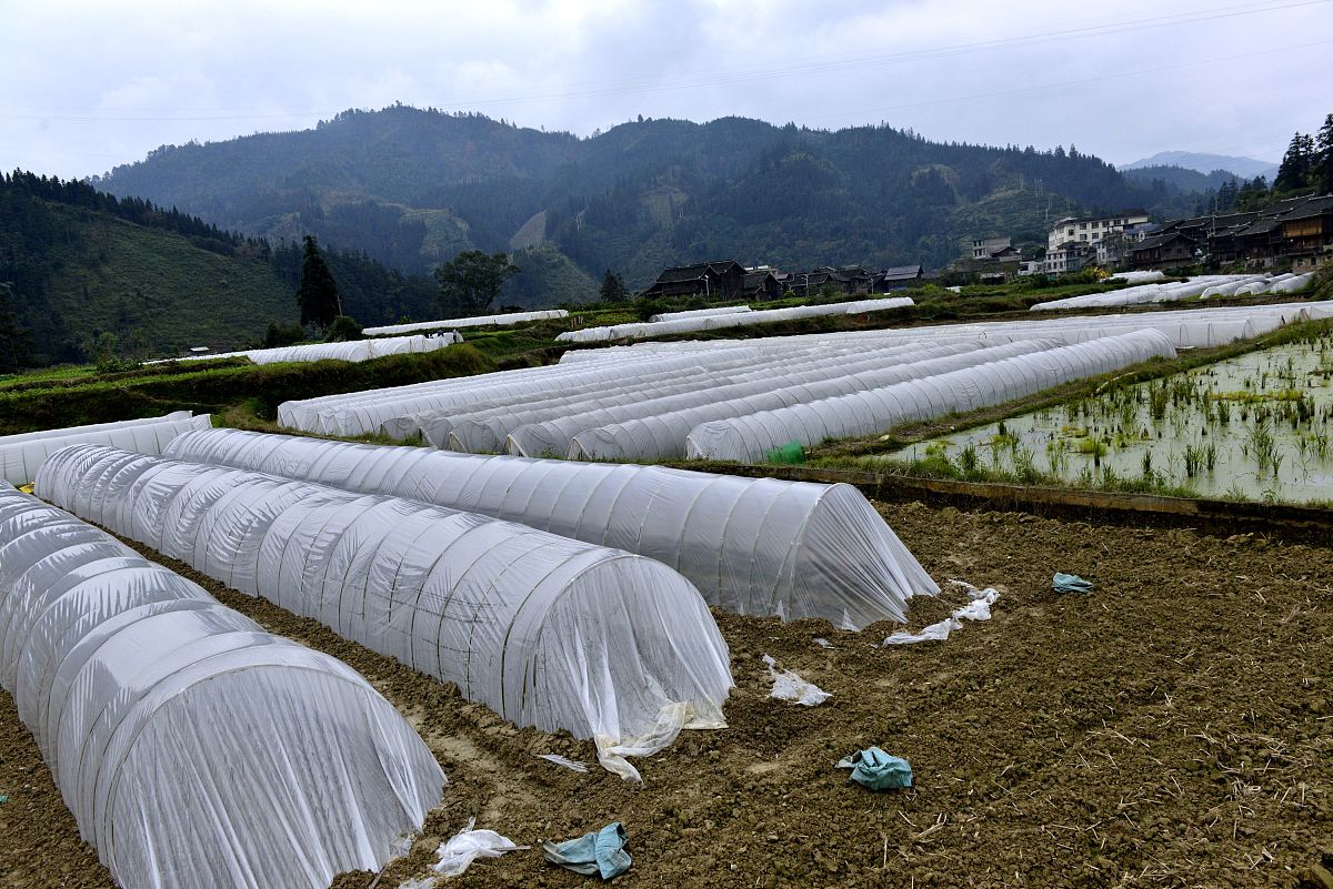 贵州财政学校市场营销专业招生 - 培养市场营销人才，助力贵州经济发展