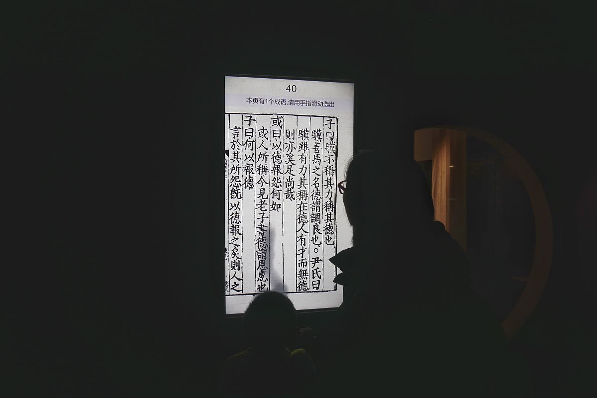 我的冒险人生：走南闯北，爱过许多人