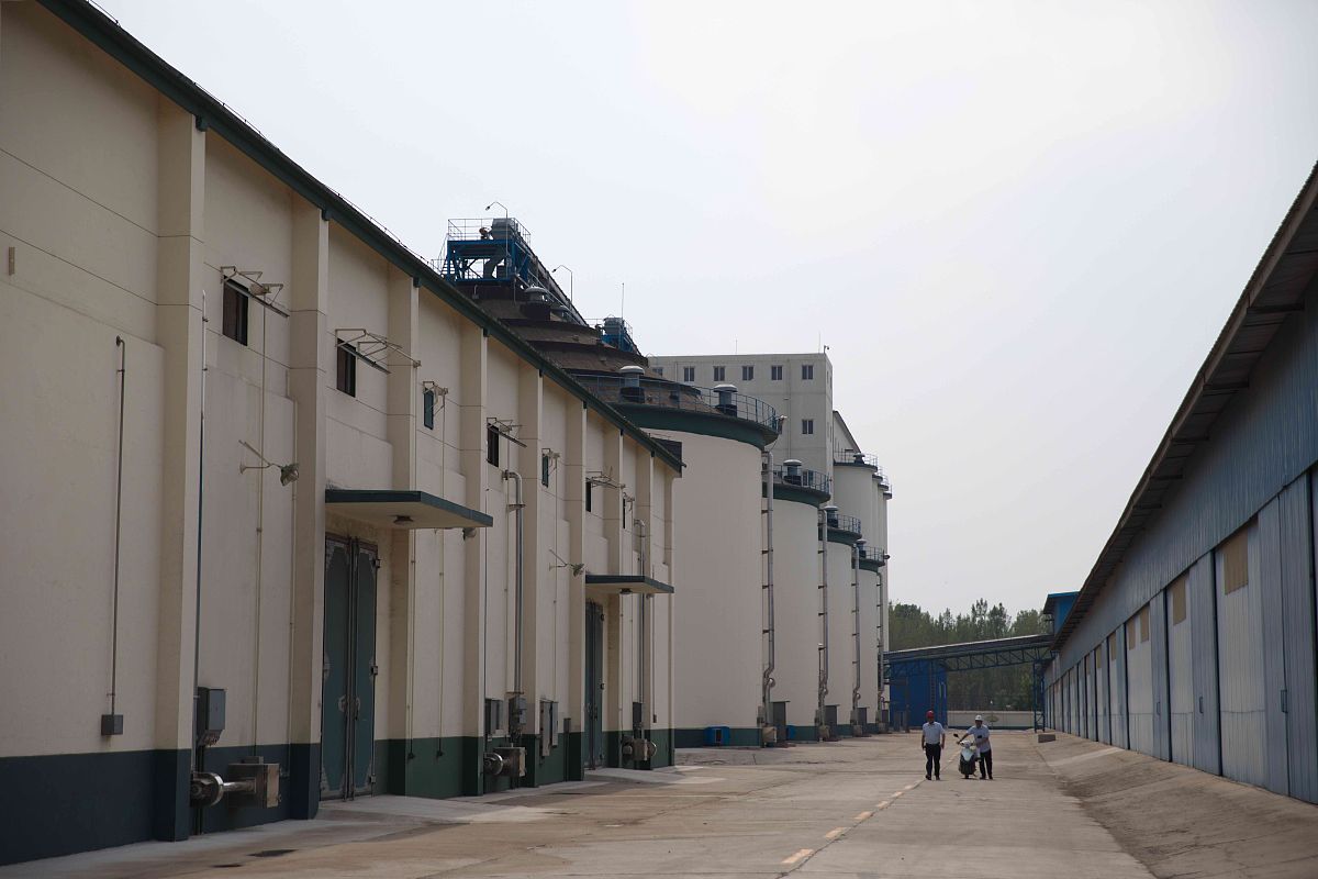 经销商库位面积需求分析：冷藏、冷冻、常温分别需要多少平方？