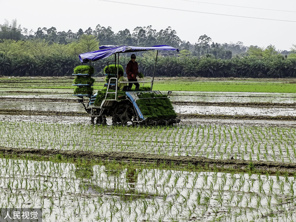 详细分析农业节水增产农艺技术中的耙耱保墒农艺技术