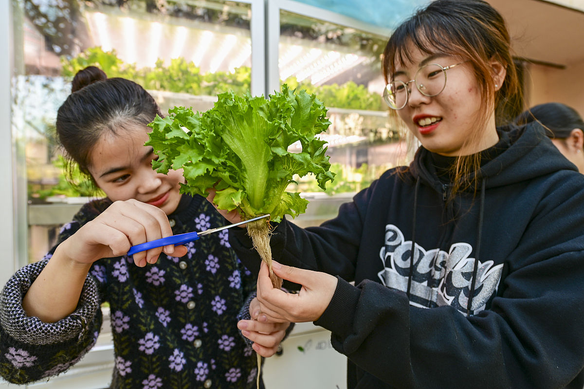 金华职业技术学院助产专业怎么样？就业前景好吗？