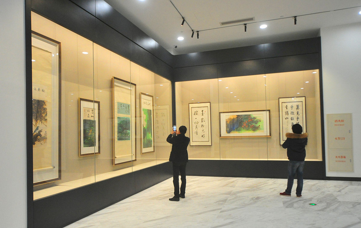 2017年12月30日,上海,位于宝山区宝安公路上的"龙现代艺术馆"当晚首次