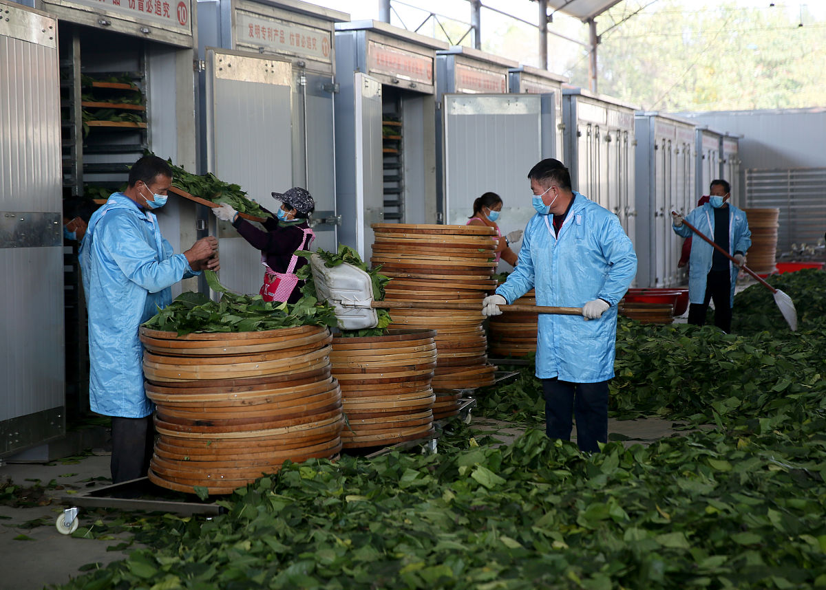 灵宝是河南哪里