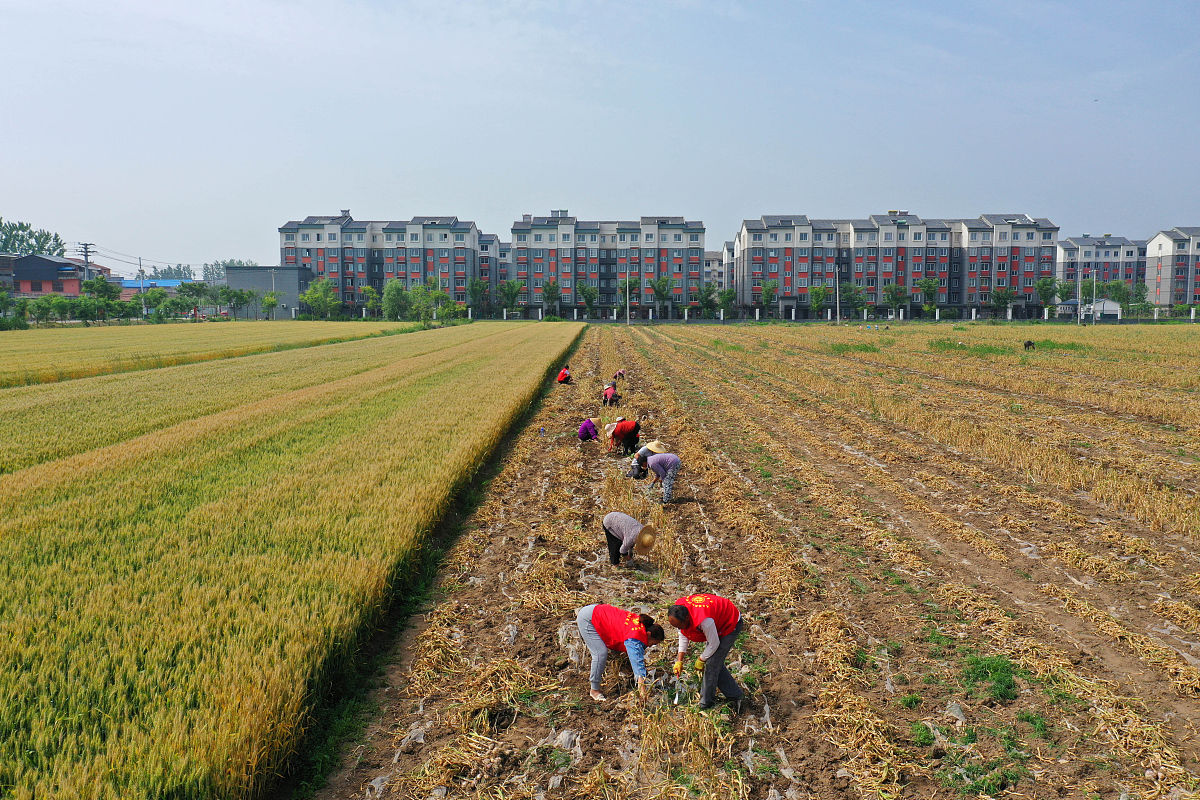 徐州经贸高等职业学校2021年招生简章 - 专业设置及报名方式