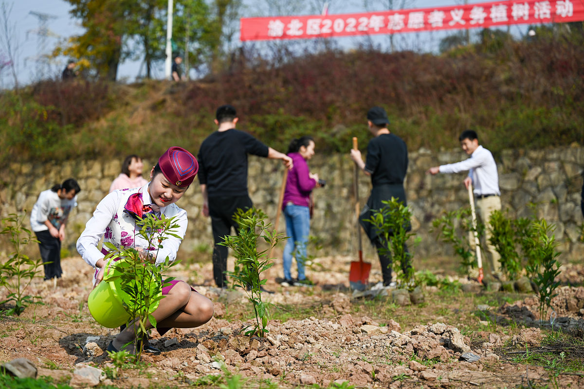 榆阳区乡村振兴背景下农业人才问题研究与对策：成果与启示
