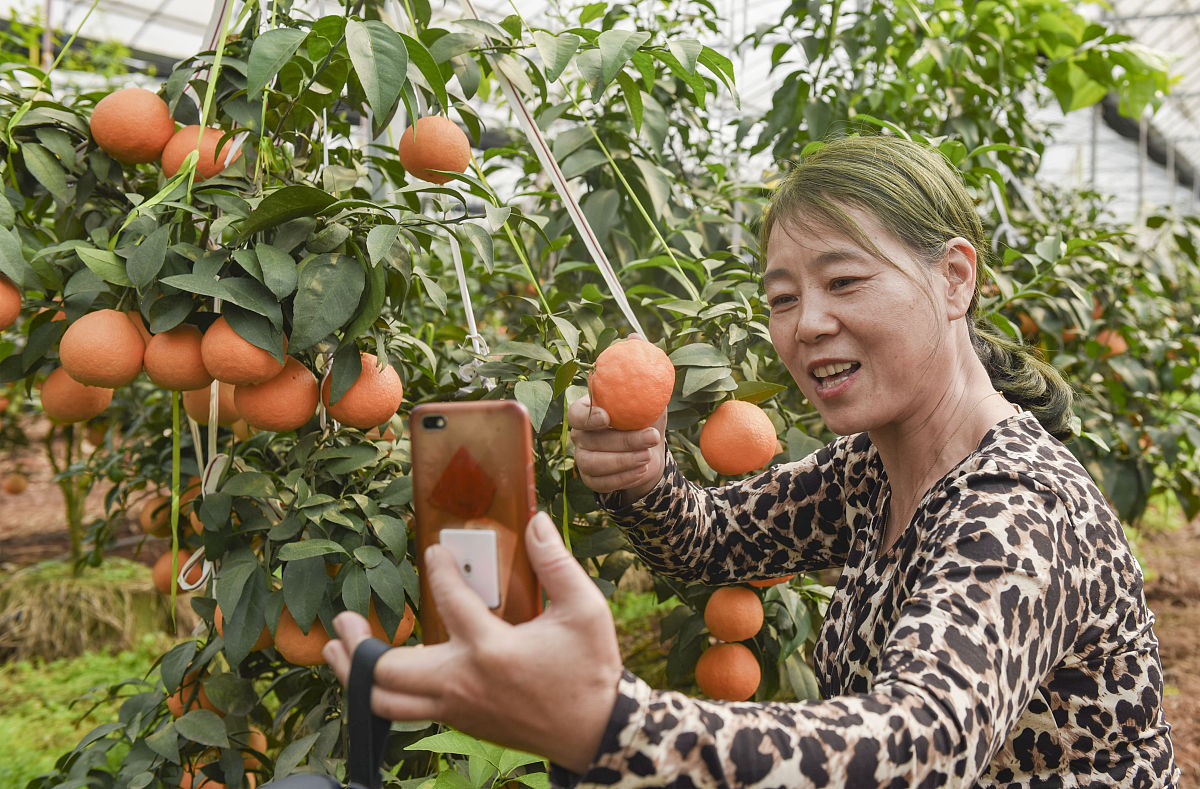 辽宁财贸学院国际经济与贸易专业怎么样？优势、劣势及发展建议