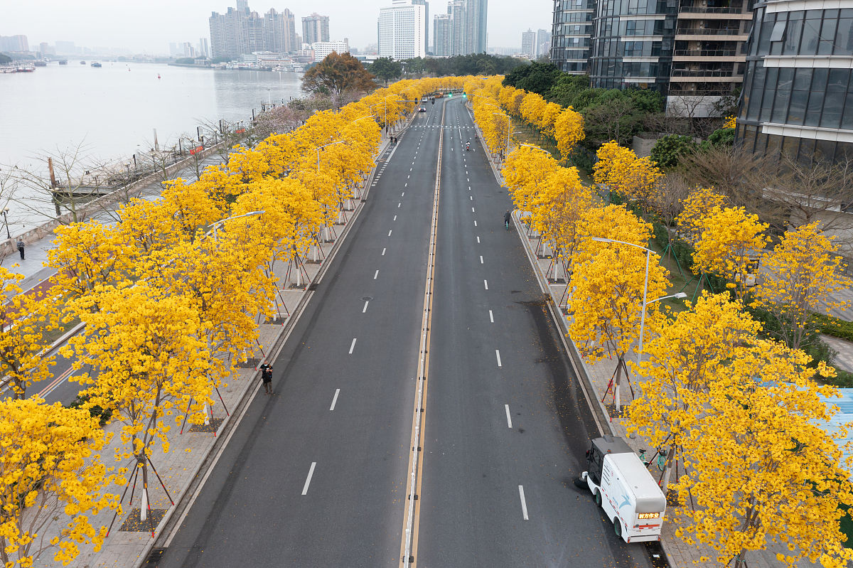 2022年广州育才中学招生简章 | 报名时间、招生计划、考试科目