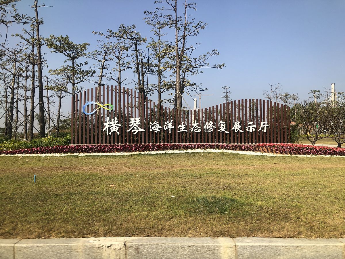 中国湿地水质分析的科学意义：了解健康状况、评估生态系统、指导修复