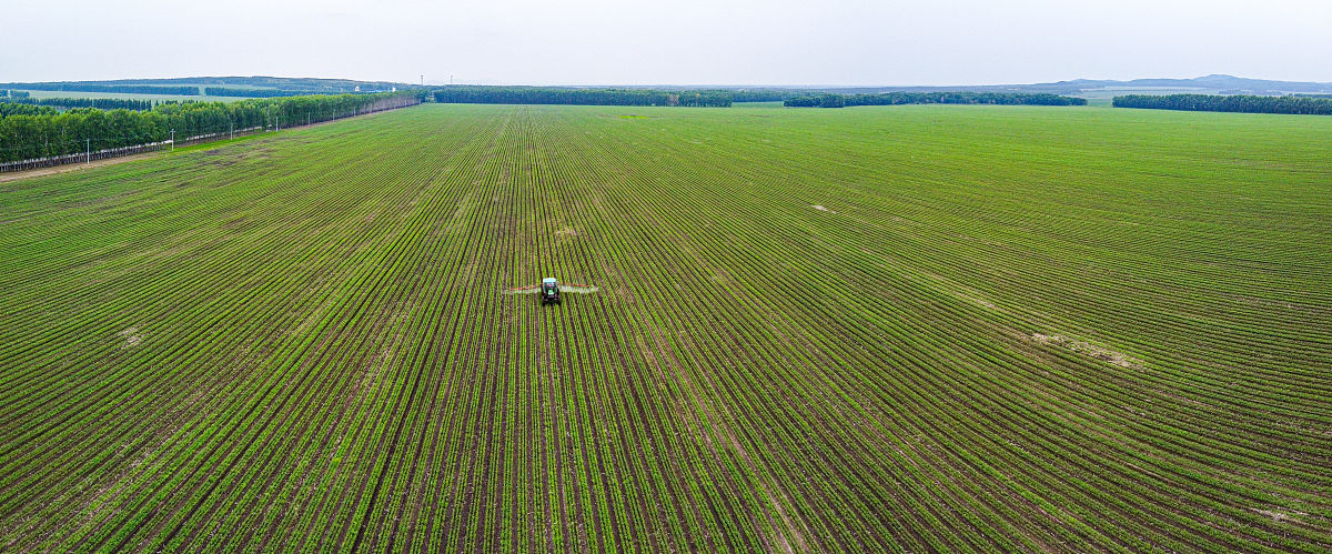 长江中下游地区地膜使用情况分析：种类、范围、方式及优缺点