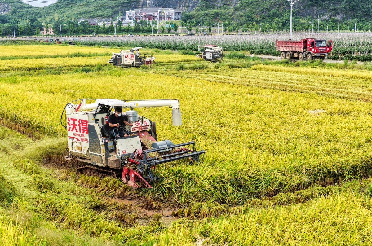 贵州开设有农业机械化专业的学校有哪些