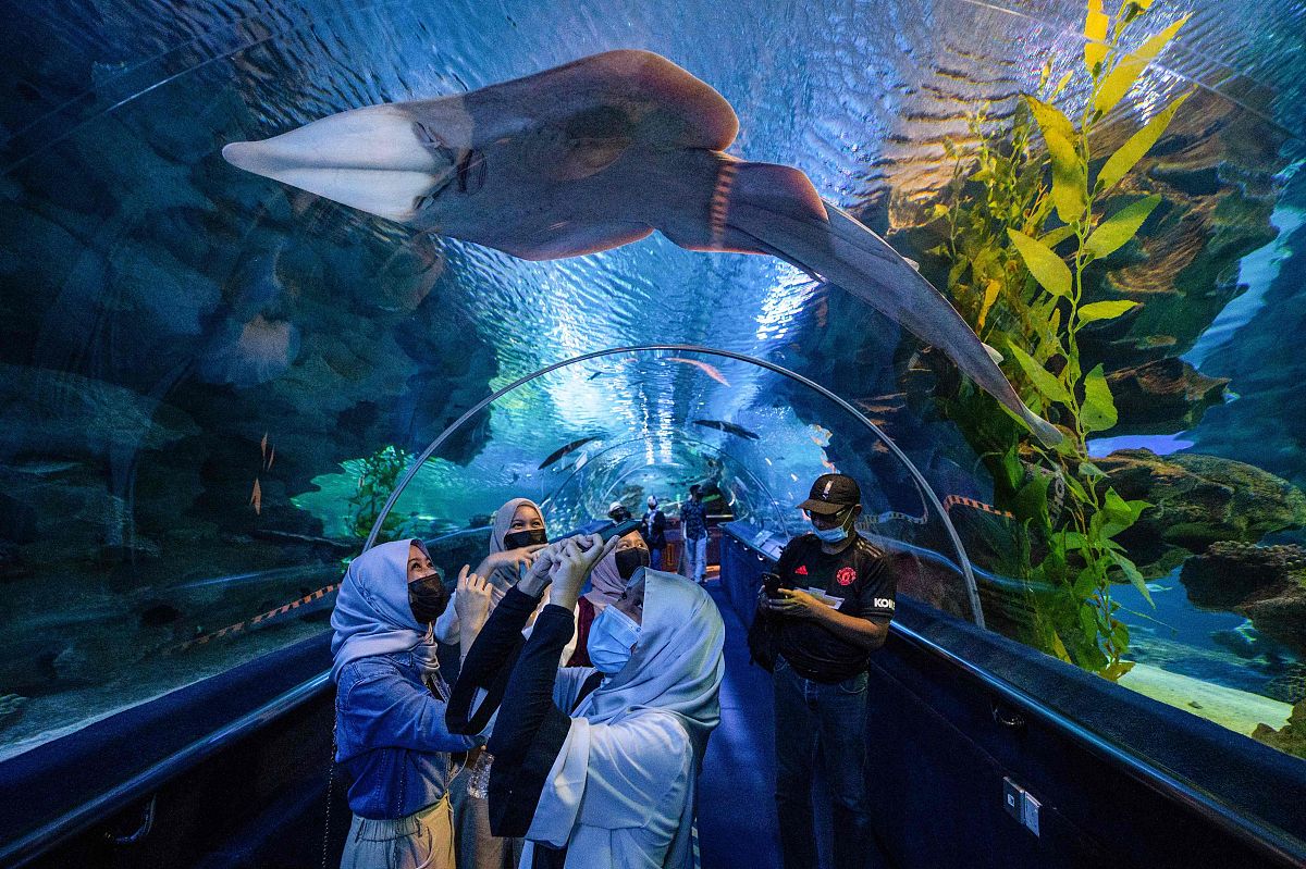 海洋大学附属小学什么时候招生回答加拓展。
