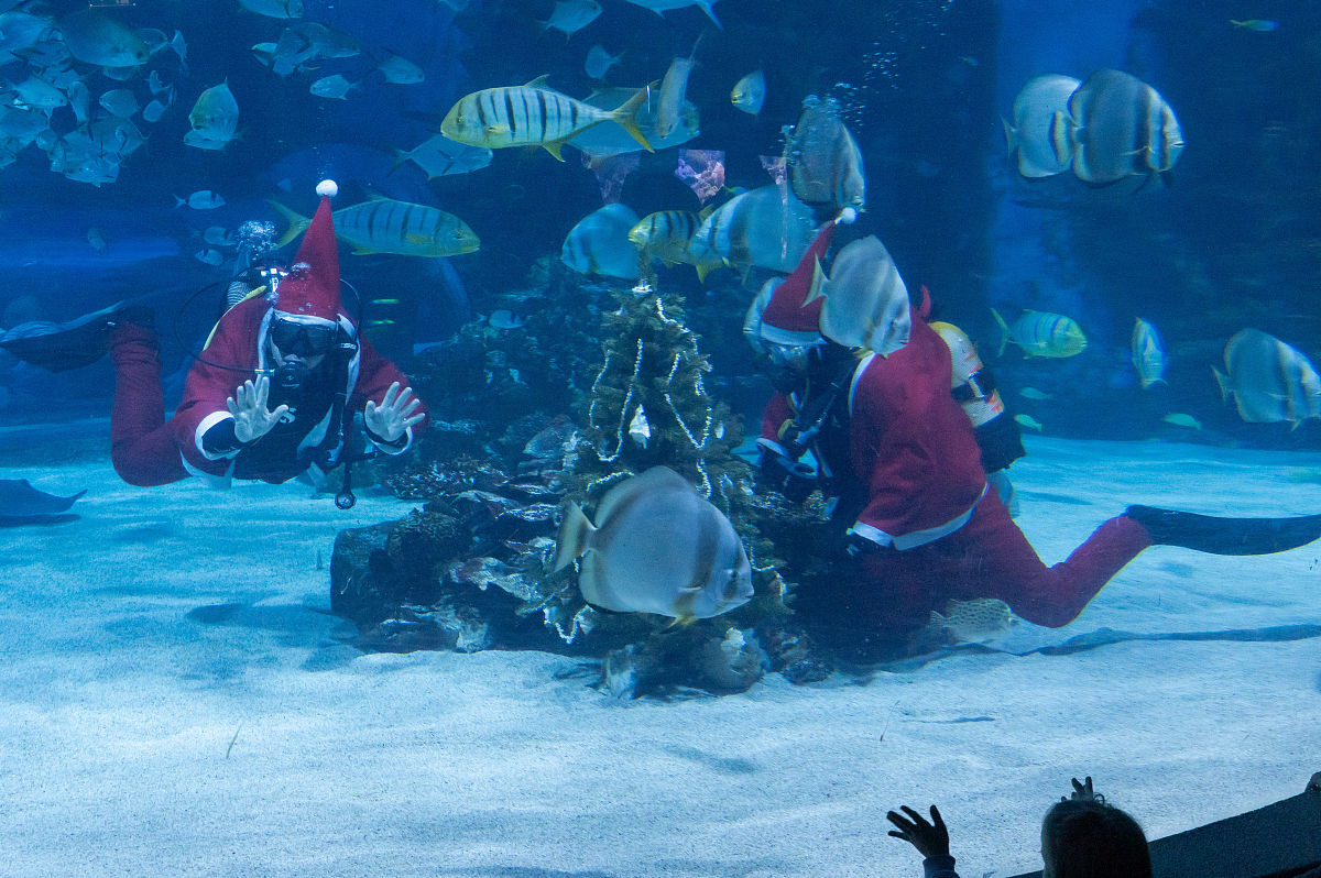 大连海洋学校2021年办学条件：设施升级，师资雄厚，实践机会丰富