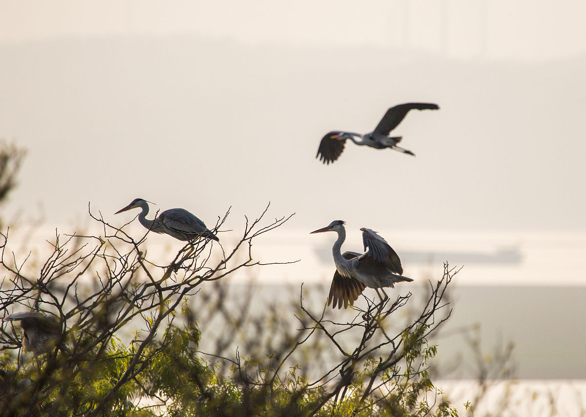 九江2021年铁路学校里面有哪些专业