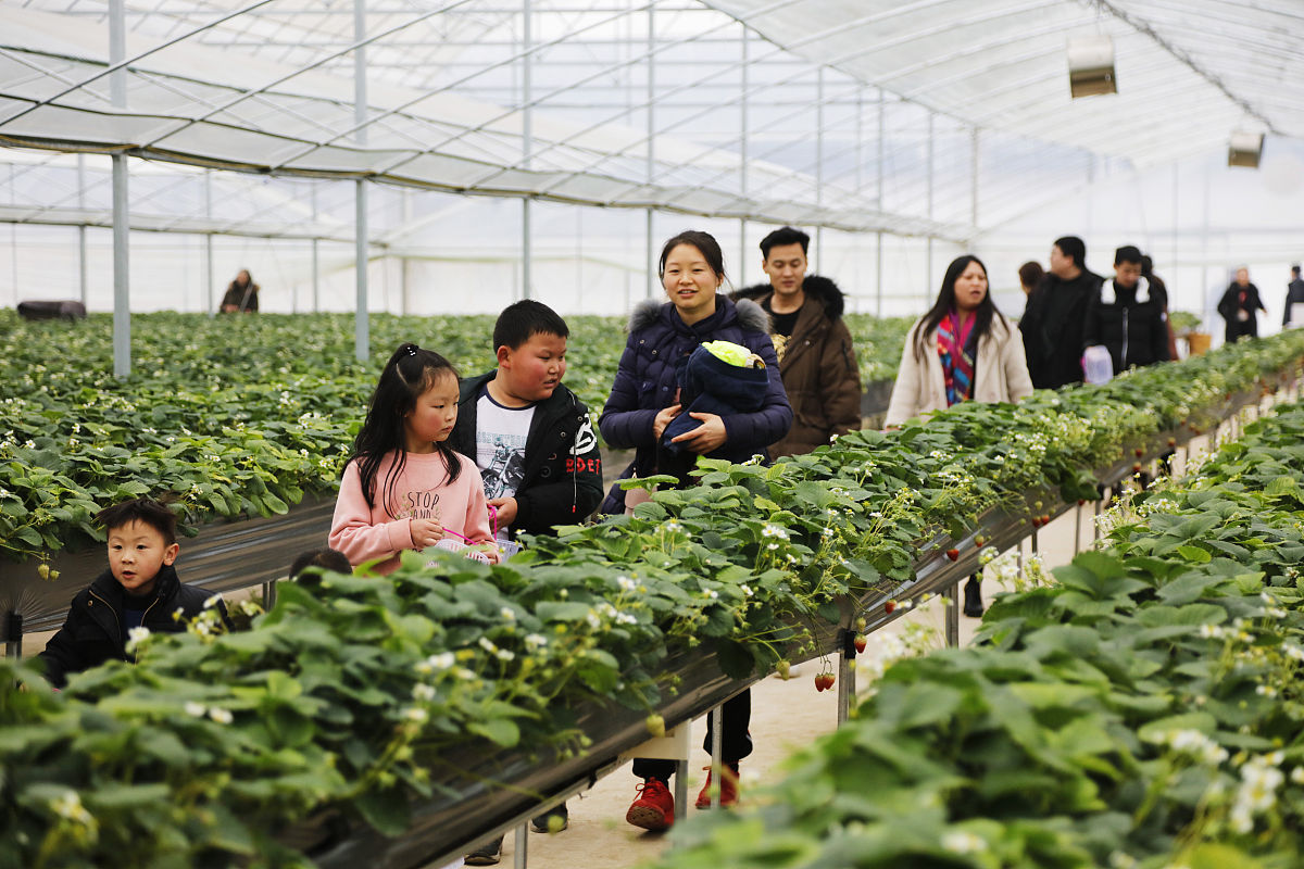 湖州现代农业技术学校：优势与不足，适合你的选择吗？