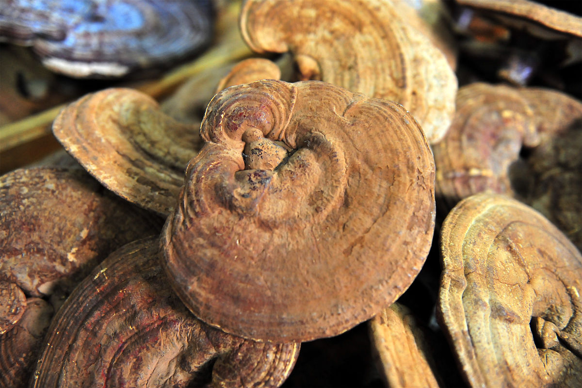 十堰市医药卫生学校2024年招生简章：专业、条件、流程全解析