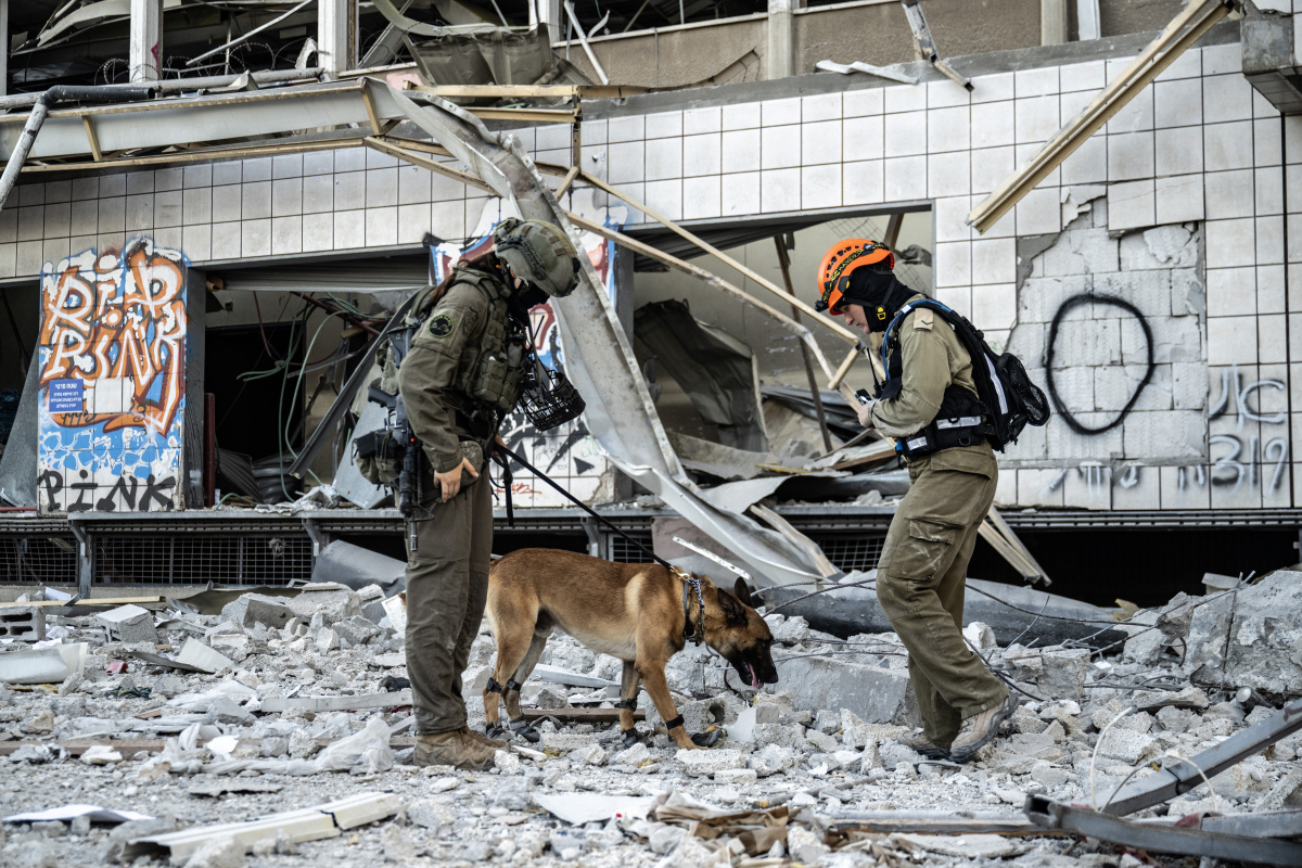 汶川地震搜救犬案例：5个关于搜救犬的常见问题