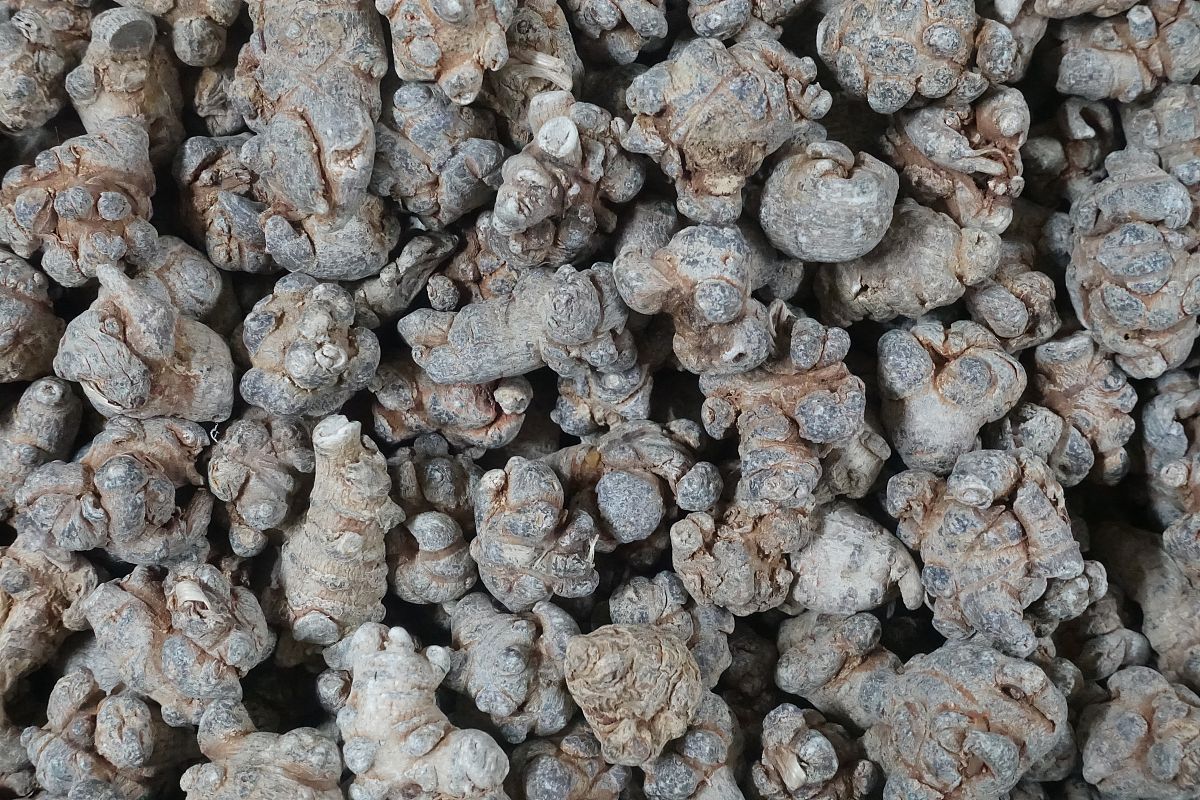 帮我写 浅析文山三七的旅游产品营销策略 摘要